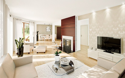 General bedroom and living room cleaning